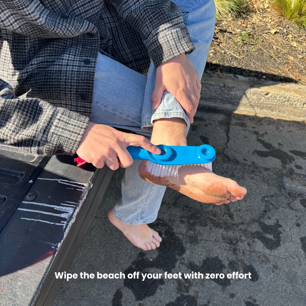 Living in sunshine - The Clean fin