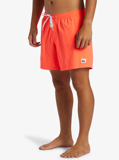 QuikSilver Everyday Swim Shorts for Men