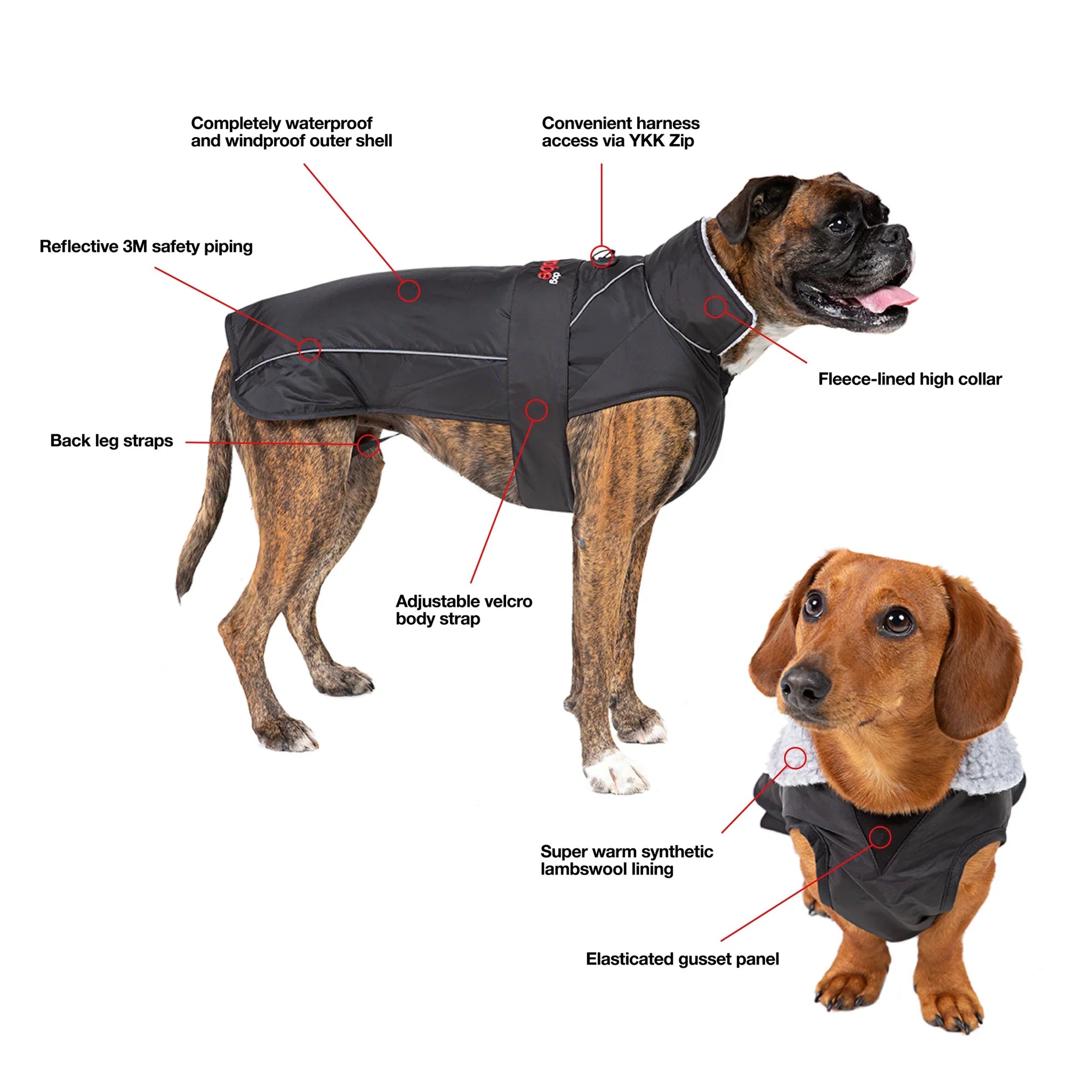 Dog Dry robe