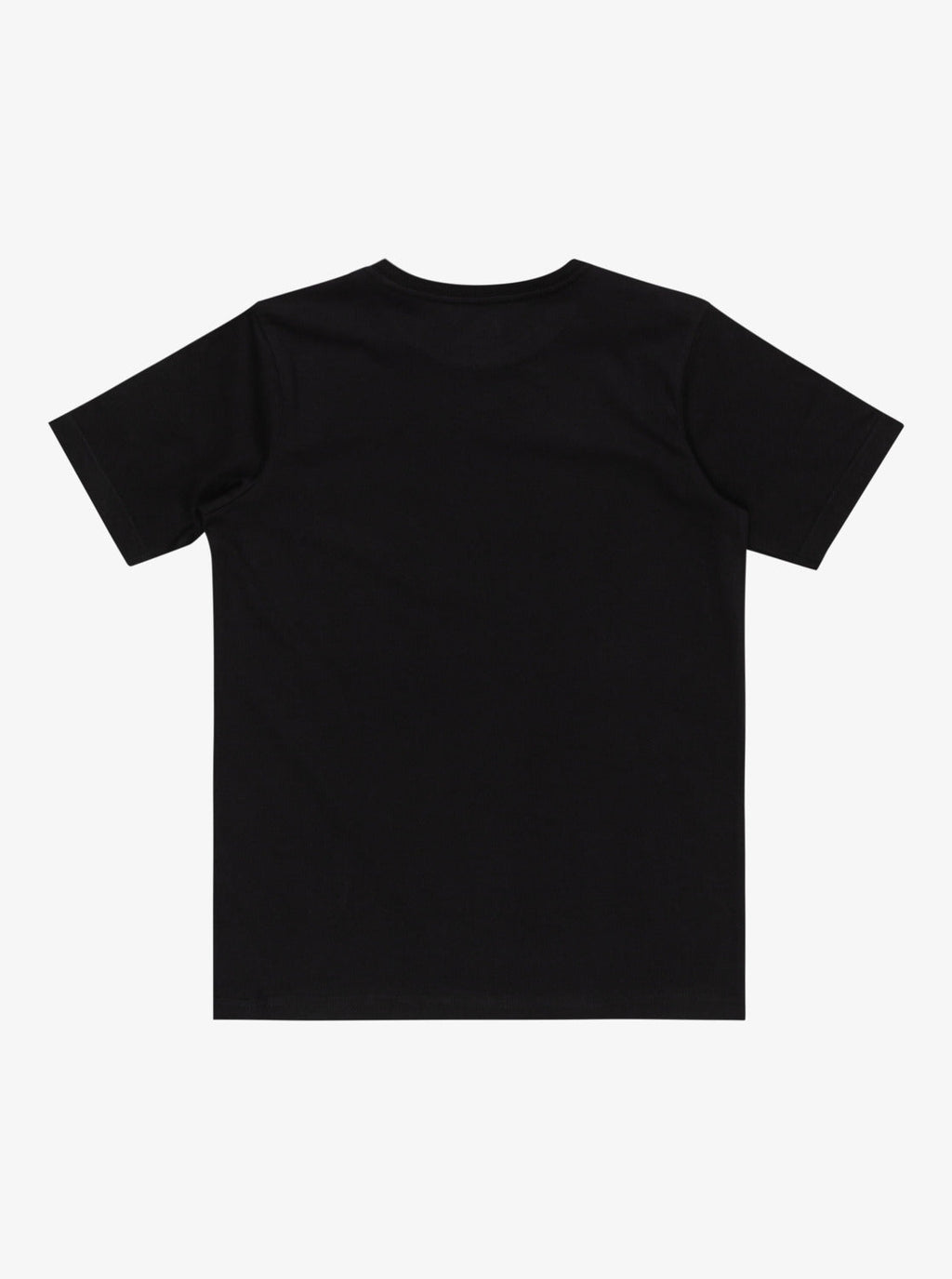 Quiksilver Day Tripper - T-Shirt